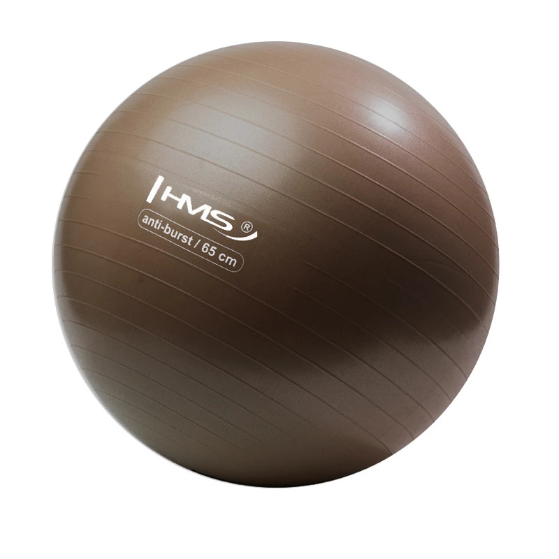 Гимнастический мяч HMS YB02N Gym Ball 65 см, коричневый
