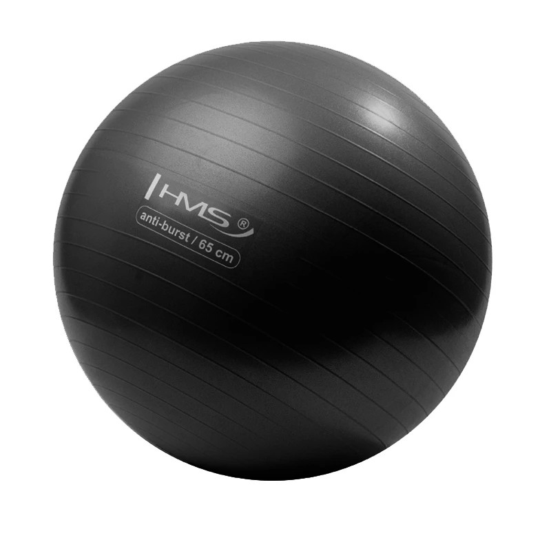 Гимнастический мяч HMS YB02N Gym Ball 65 см, черный