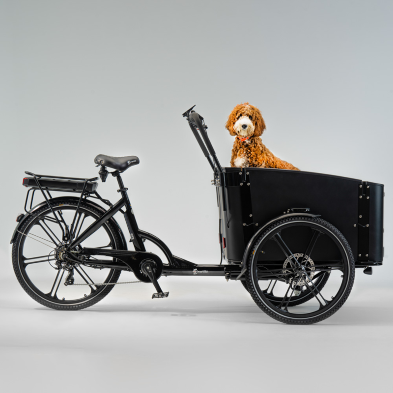 Electric cargo bike CARGOBIKE of SWEDEN Flex Dog