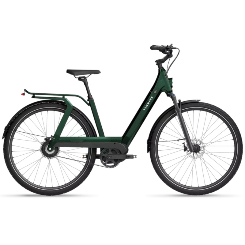 Electric bicycle TENWAYS AGO T, Jungle Green