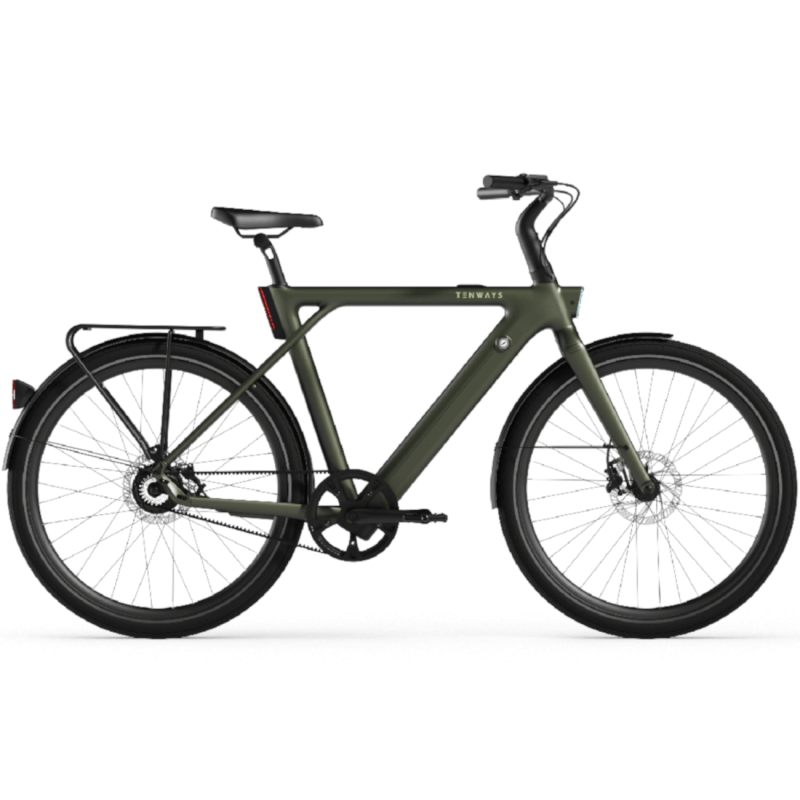 Electric bicycle TENWAYS CGO009, Jungle Green