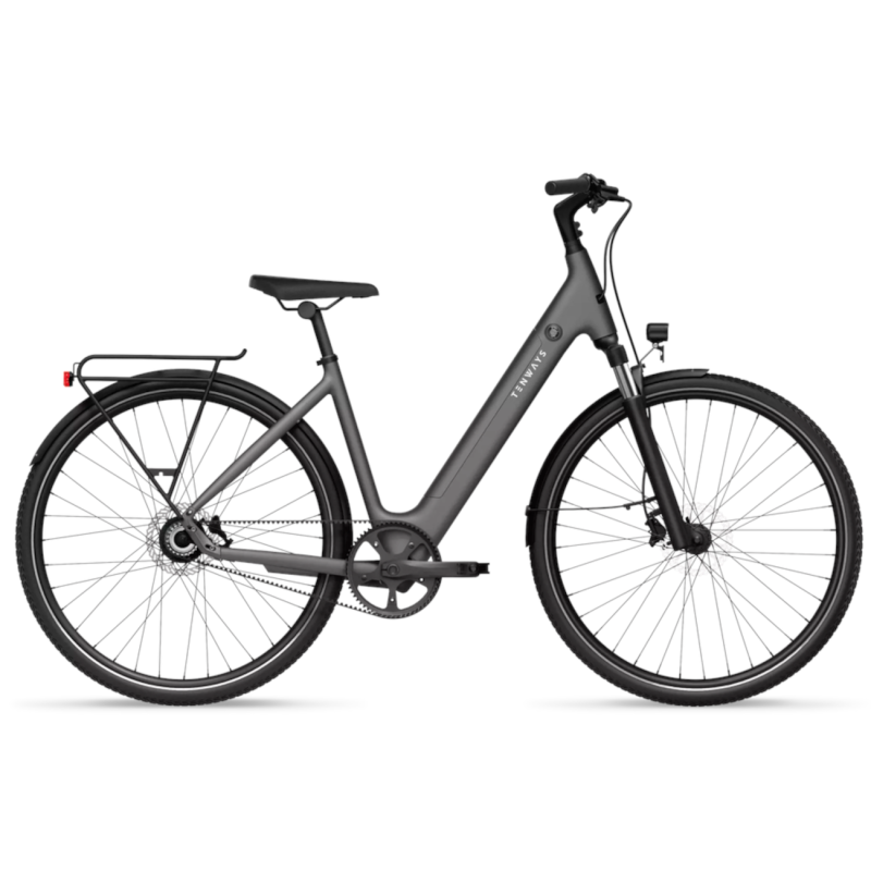 Electric bicycle TENWAYS CGO800S, Light Grey