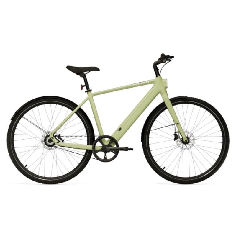 Electric bicycle TENWAYS CGO600 PRO, Avocado Green