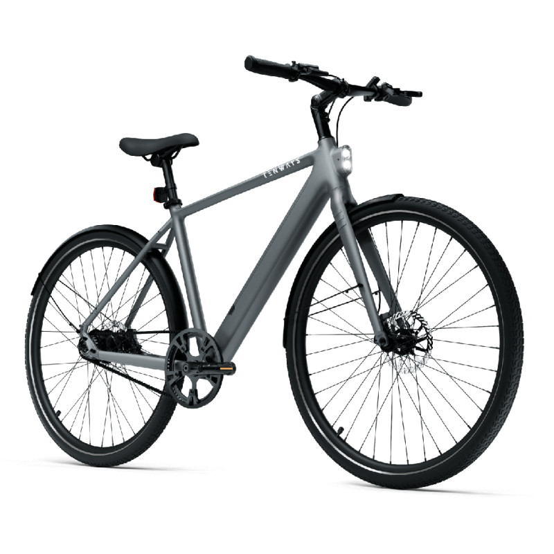 Электровелосипед TENWAYS CGO600 PRO, Светло-серый