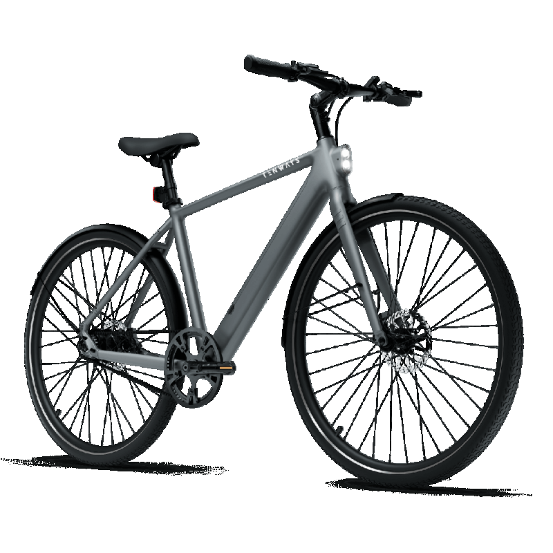 Electric bicycle TENWAYS CGO600 PRO, Light Grey