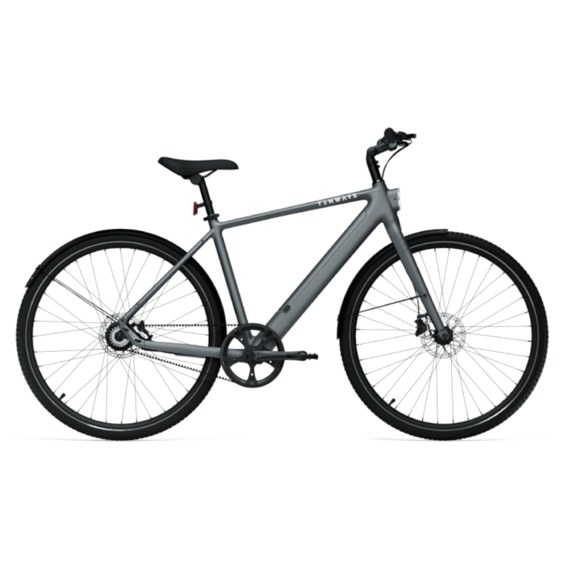 Electric bicycle TENWAYS CGO600 PRO, Light Grey