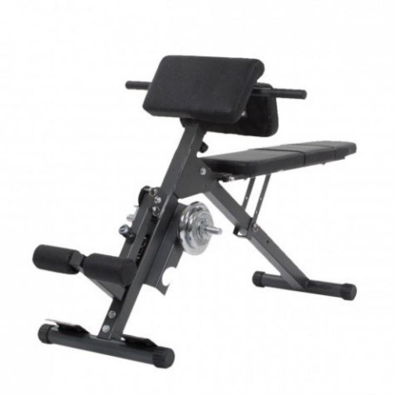 Exercise bench FINNLO Ab&Back Trainer