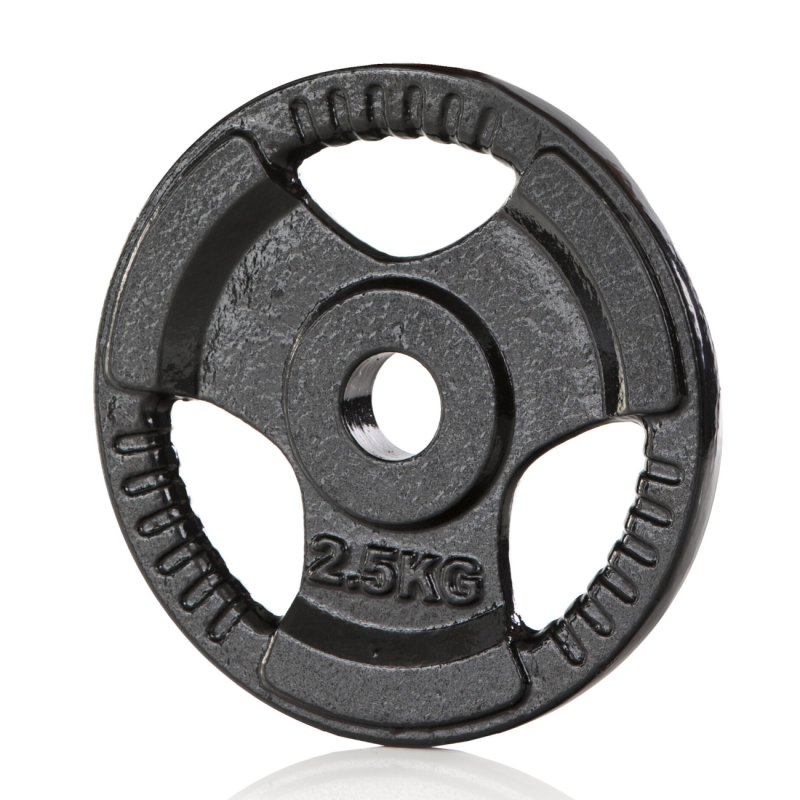 Raskusketas GYMSTICK Iron Weight, 30 mm, 2,5 kg