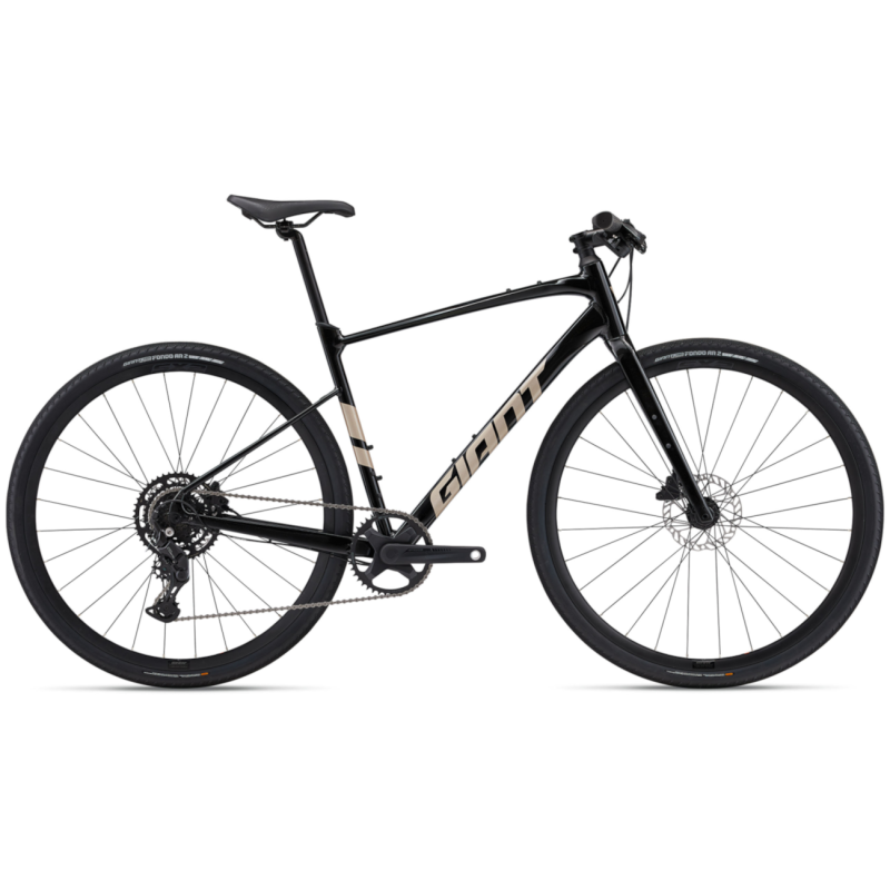 Bicycle GIANT Fastroad AR 2, Panther