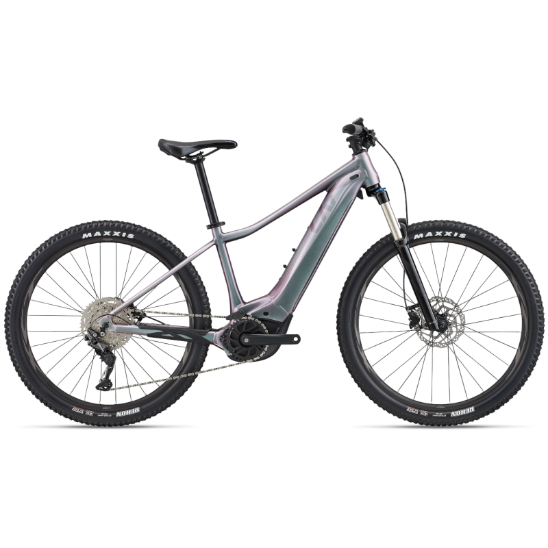 Electric bicycle LIV Vall E+ 2, Echeveria