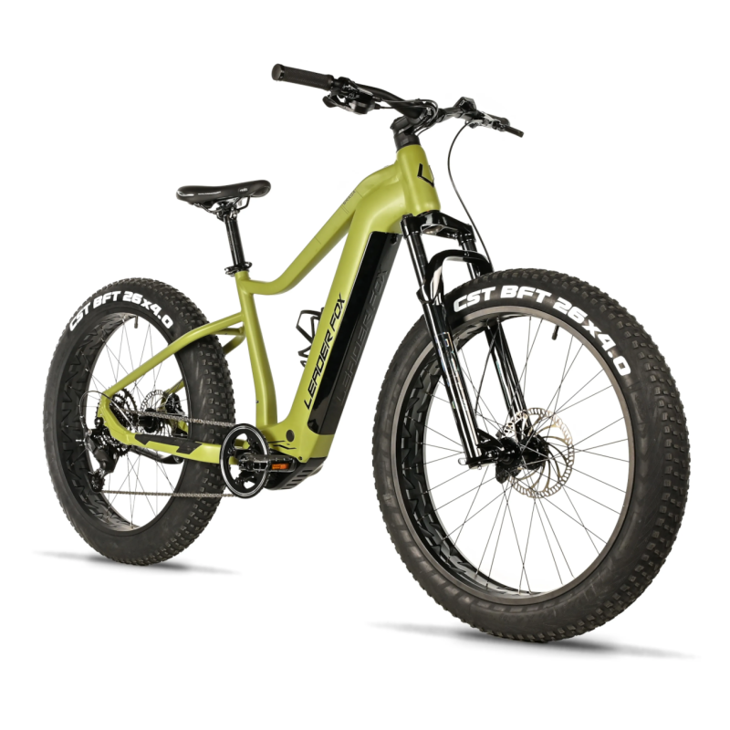 Electric fatbike LEADER FOX Braga 26": Green