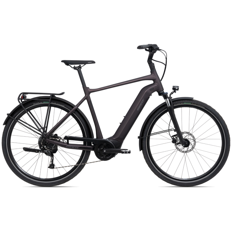 Electric bicycle GIANT DailyTour E+ 3 GTS, Rosewood