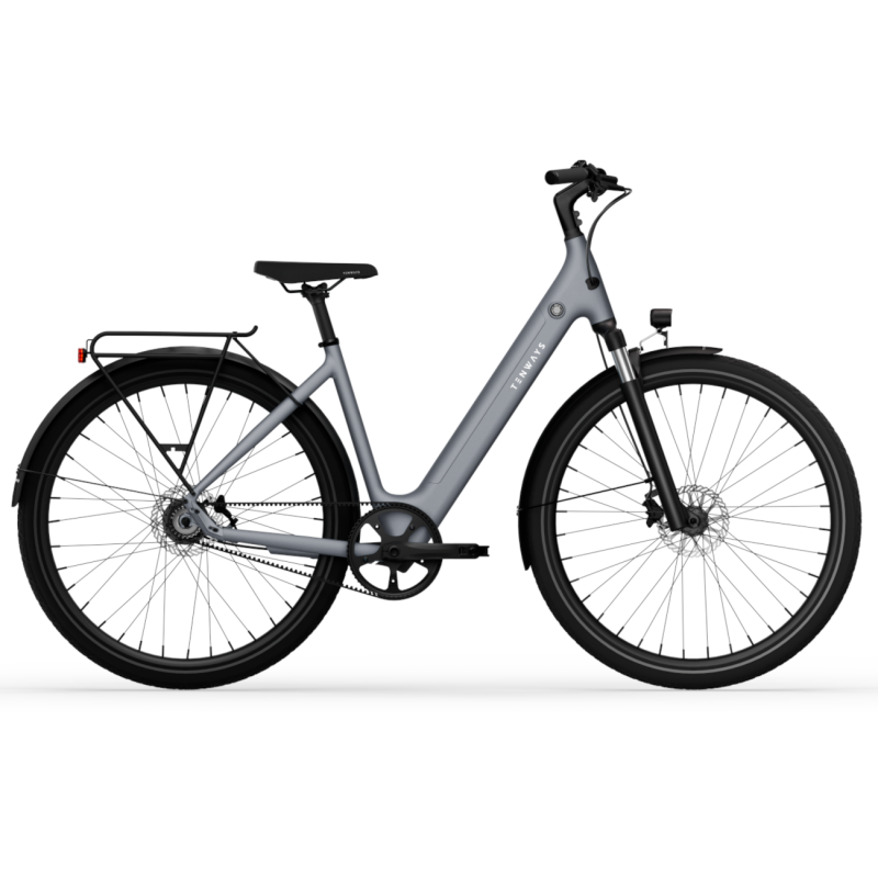 Electric bicycle TENWAYS CGO800S (2025) Pebble Grey