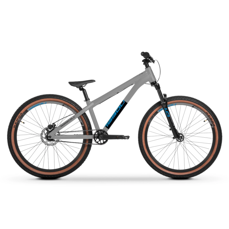 Bicycle TABOU Tabspin 1.0, 26″ gray-black