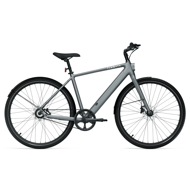 Электровелосипед TENWAYS CGO600 PRO, светло-серый