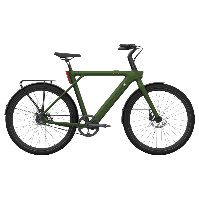 Electric bicycle TENWAYS CGO009, Jungle Green