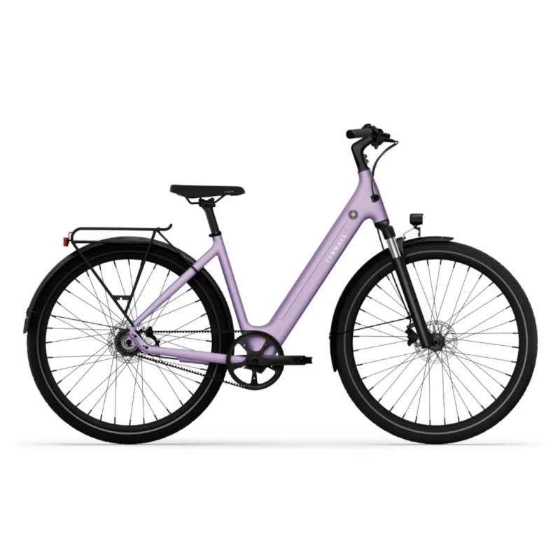 Электровелосипед TENWAYS CGO800S (2025) Фиолетовый