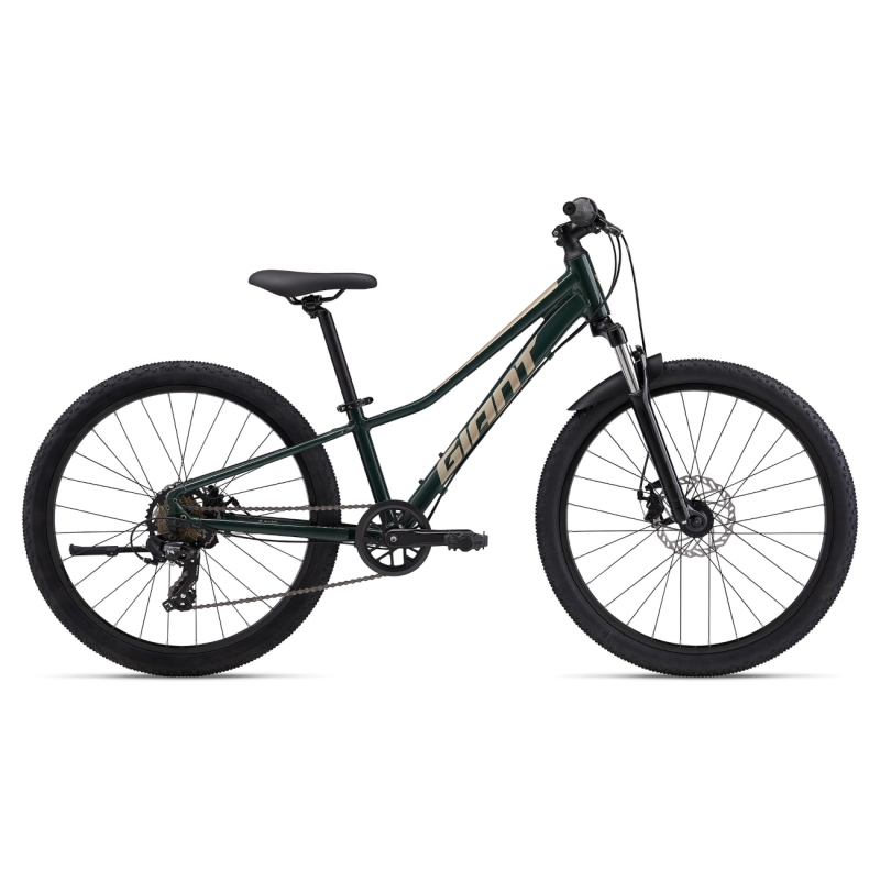 Lasten polkupyörä GIANT Talon 24, Trekking Green