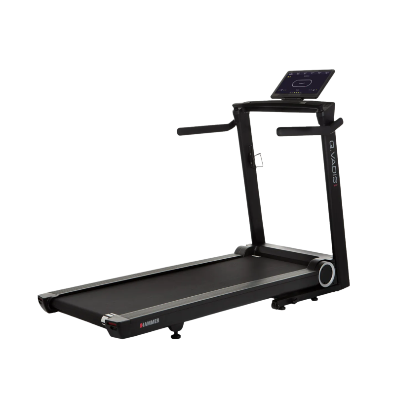 Jooksulint HAMMER Q. VADIS 10.0