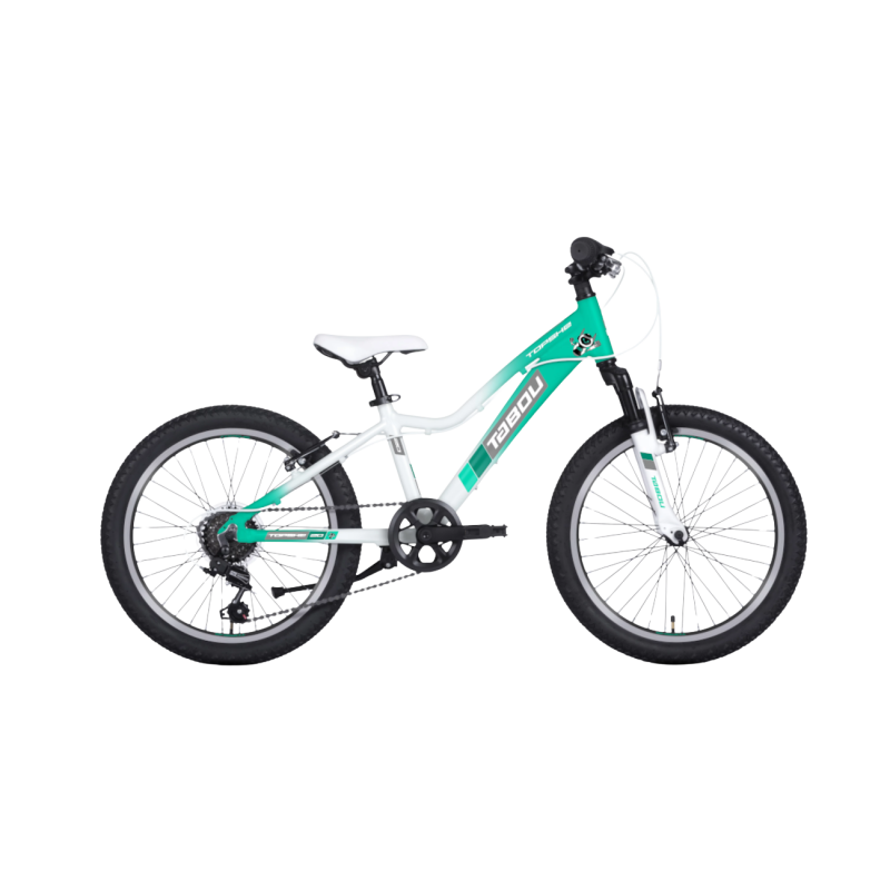 Laste jalgratas TABOU Topshe 20, münt-valge