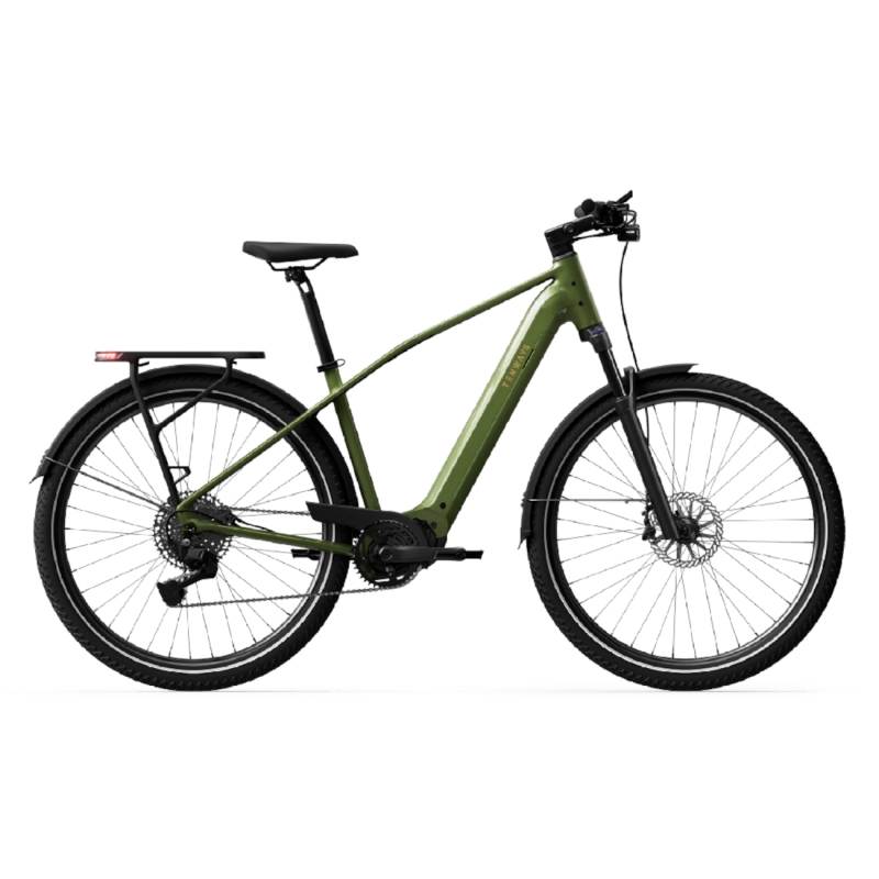 Electric bicycle TENWAYS AGO X Special Edition, 29″ Green