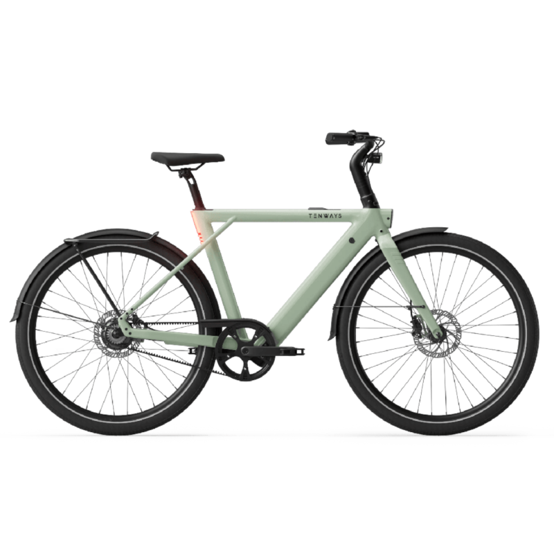 Electric bicycle TENWAYS CGO009, Sage Green