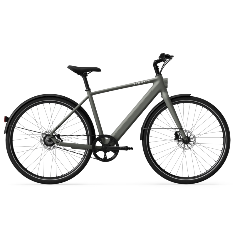 Электровелосипед TENWAYS CGO600 Pro, цвет Willow Mist.