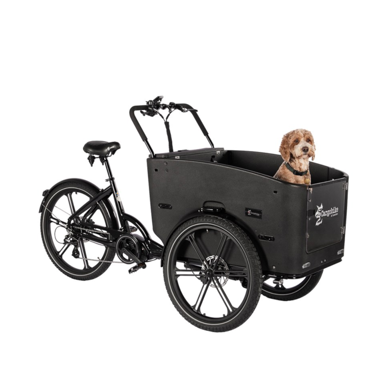 Elektriline kastiratas CARGOBIKE OF SWEDEN Delight Nova Dog