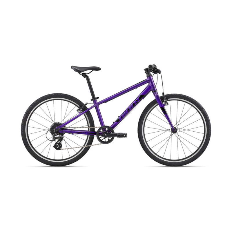Ülikerge laste jalgratas GIANT ARX 24, Purple