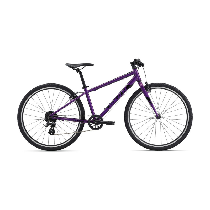 Ülikerge laste jalgratas Giant ARX 26, Purple