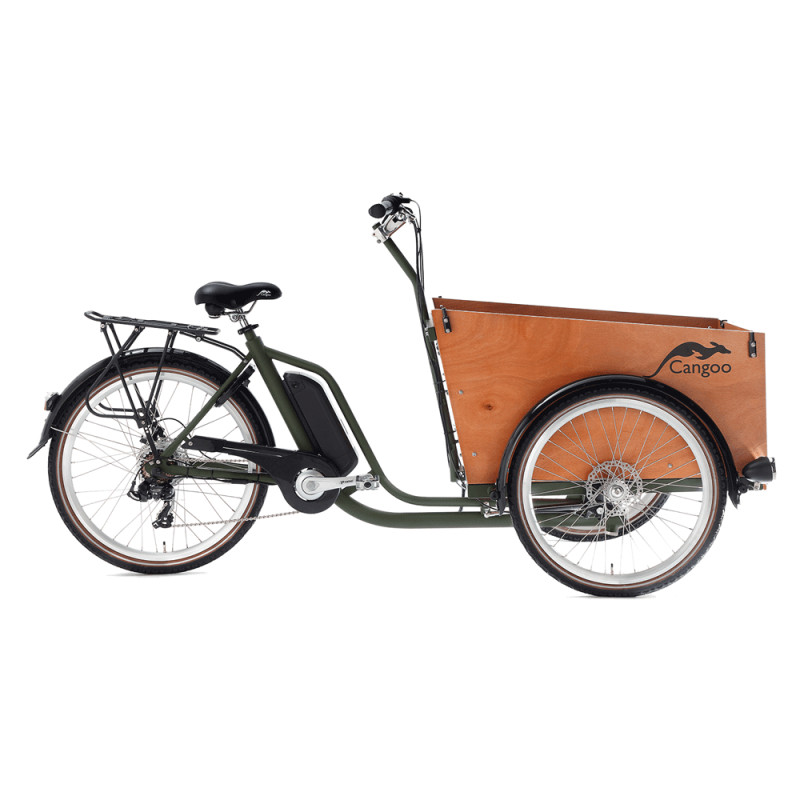 Электрический грузовой велосипед Cangoo Easy, зеленый