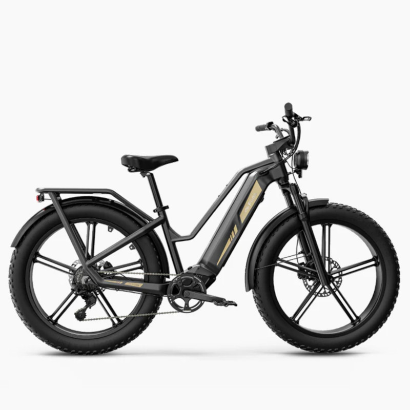 Elektriskais velosipēds FIIDO Titan, pelēks