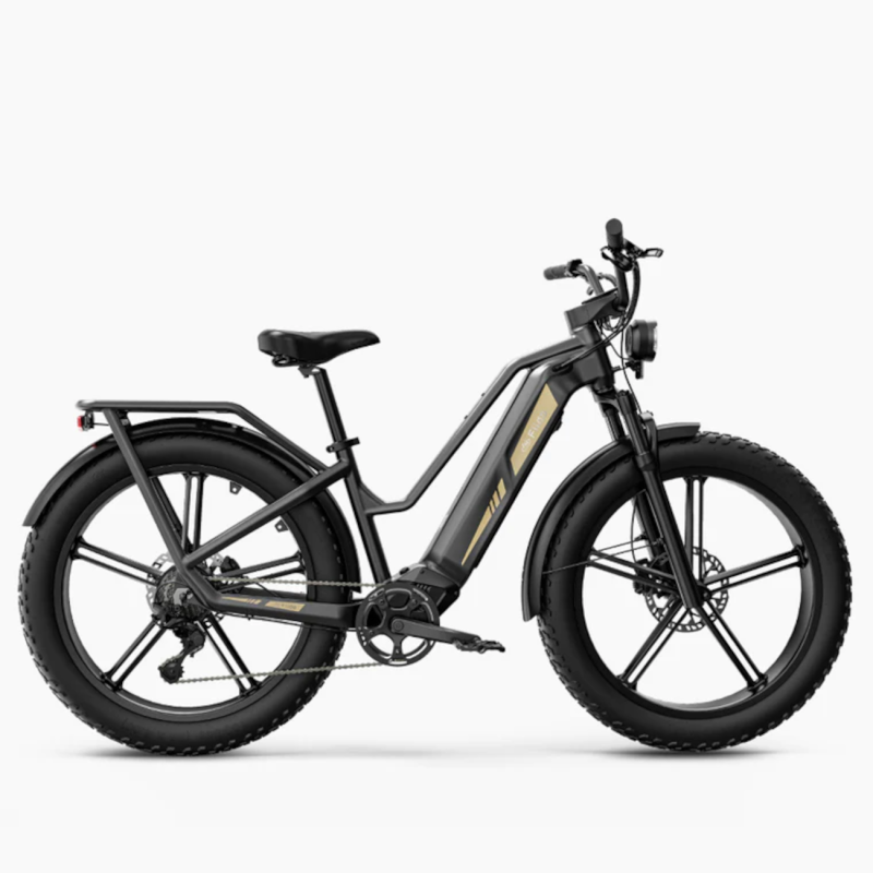 Electric bicycle FIIDO Titan, Grey